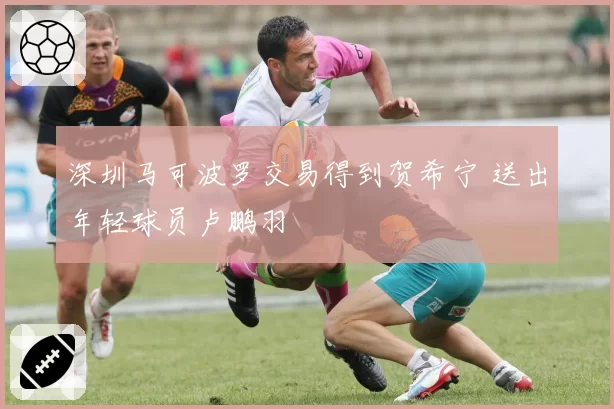 深圳马可波罗交易得到贺希宁 送出年轻球员卢鹏羽