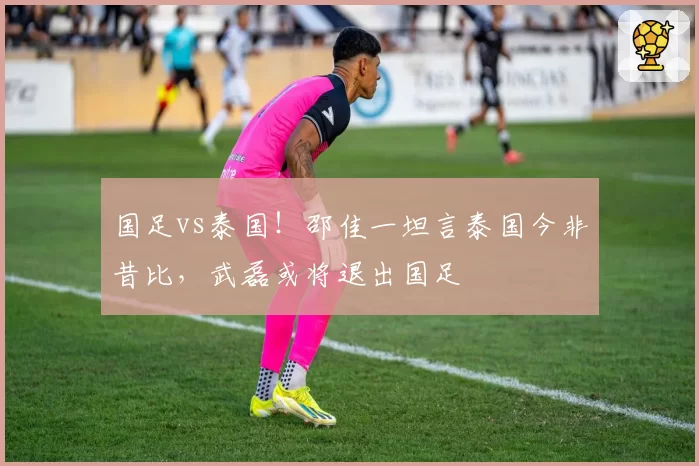国足vs泰国！邵佳一坦言泰国今非昔比，武磊或将退出国足