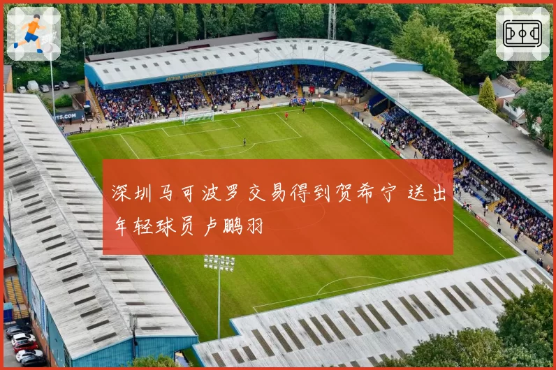 深圳马可波罗交易得到贺希宁 送出年轻球员卢鹏羽
